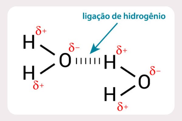 Ligação de hidrogênio entre duas moléculas de água