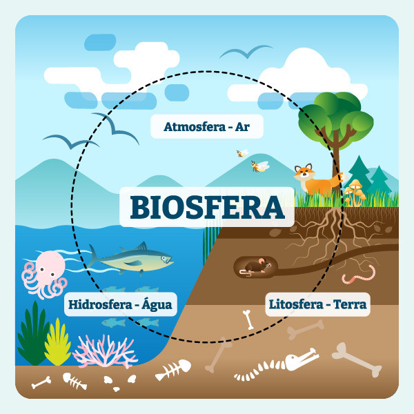Desenho da biosfera.