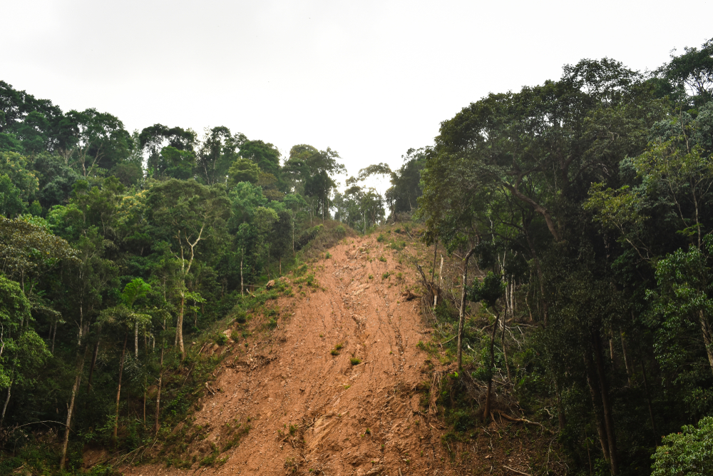 As avalanches podem ser compostas por materiais como lama, gelo, neve e/ou regolito