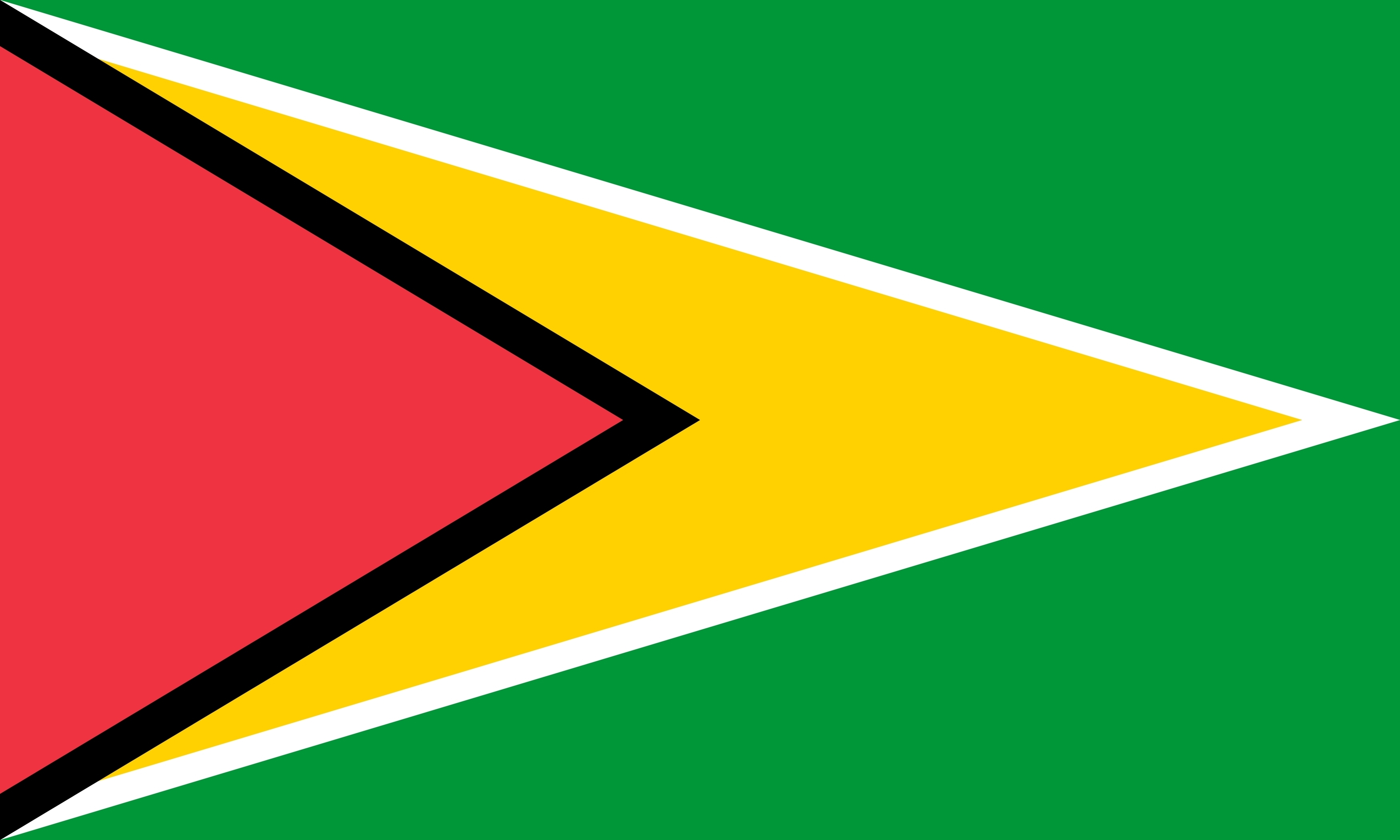 Bandeira da Guiana. 