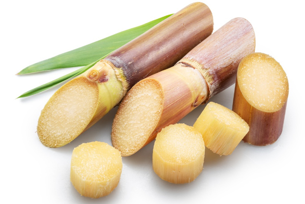 Caules de cana-de-açúcar (colmos).