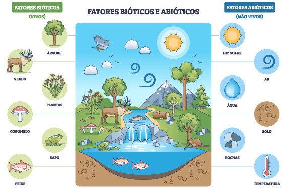 Ilustração diferenciando os fatores bióticos e abióticos, que diferencia os seres vivos e os seres não vivos. 