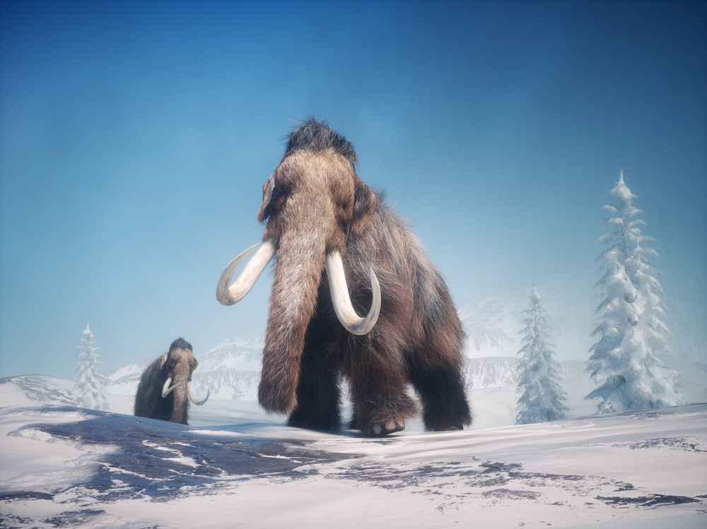 Representação gráfica dos mamutes, animais que fizeram parte da megafauna, da última era glacial (ou era do gelo). 