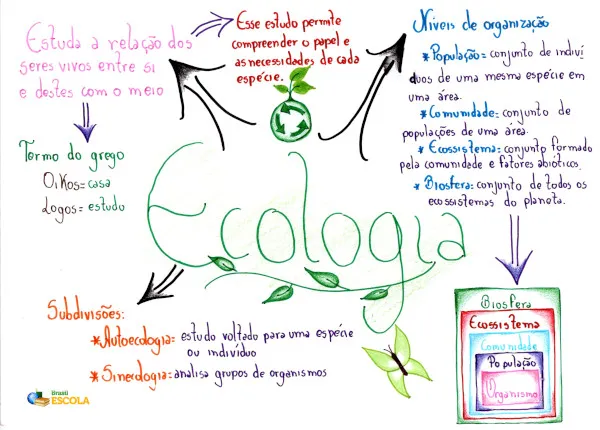 Mapa mental de ecologia