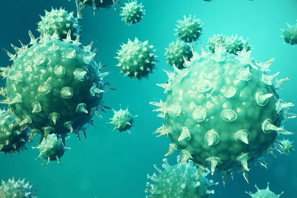 Os vírus apresentam antígenos na sua superfície.