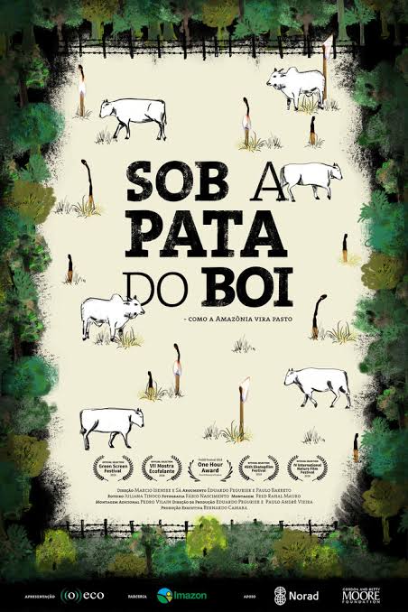Capa do documentário Sob a Pata do Boi