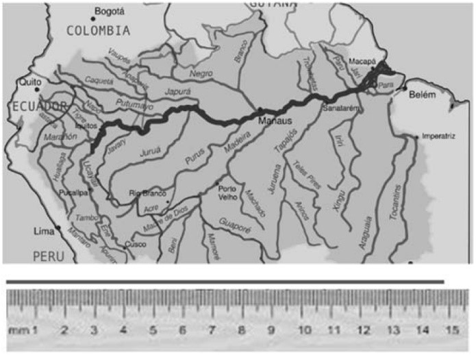 Régua, barbante e mapa envolvidos na medição do comprimento do Rio Amazonas — questão Uncisal