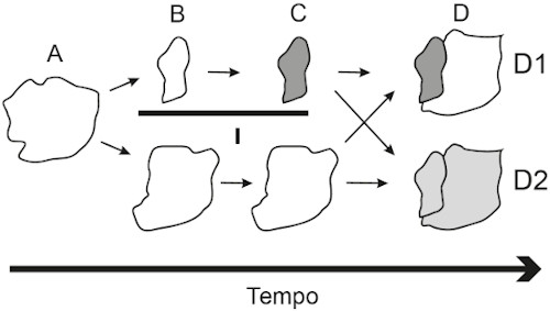 Considere a carta topográfica abaixo.Tendo como base o po - Gran Questões