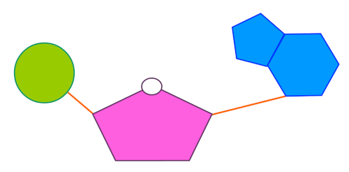 Ilustração das estruturas que formam um nucleotídeo.