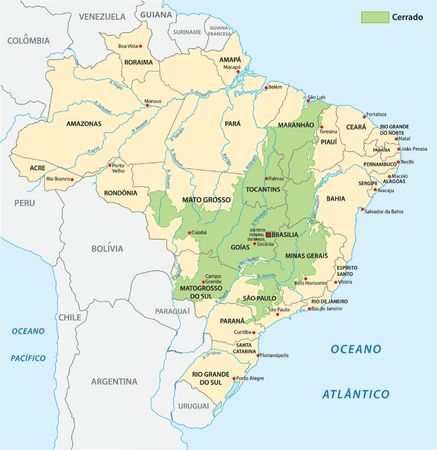 Mapa do Brasil, com indicação da área de ocorrência do bioma Cerrado.