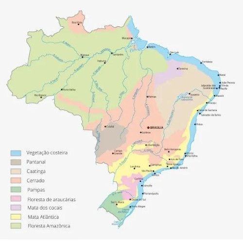 Mapa com vegetação do Brasil