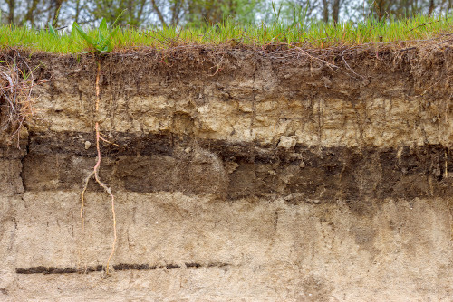 Horizontes de um solo, camadas que existem nos diferentes tipos de solo.