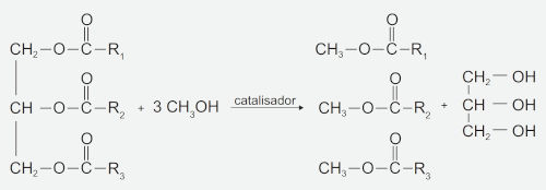 Reação de obtenção do biodiesel em questão do Enem sobre funções orgânicas.