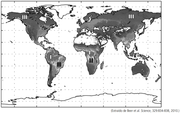 Mapa mostrando a distribuição global do fluxo de carbono em exercício da Unicamp sobre tipos de vegetação.