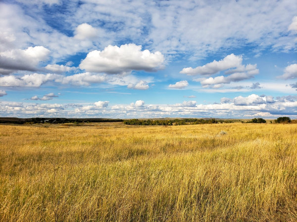 Paisagem natural mostrando uma região de ocorrência dos Campos.