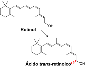 Conversão do retinol (vitamina A) em sua forma ativa na pele, o ácido trans-retinoico