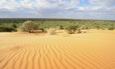 Aspectos Naturais da África – Clima e Vegetação - Brasil Escola