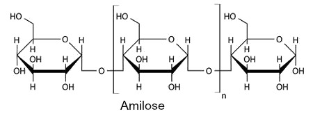 Fórmula estrutural da amilose