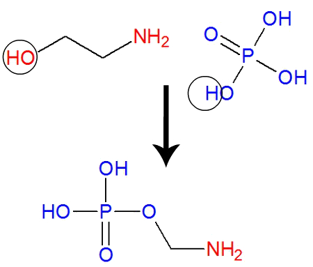 Equação que representa a reação de síntese da Fosfoetanolamina