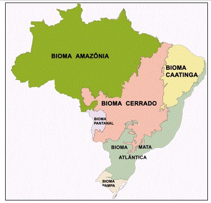 O Brasil possui seis biomas segundo o IBGE. (Fonte: IBGE)
