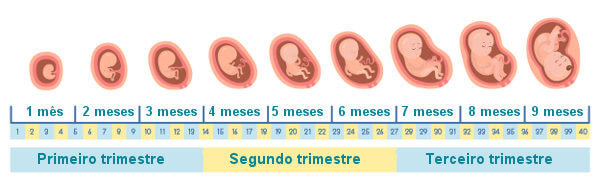 Sintomas de gravidez mais comuns entre as mulheres - Brasil Escola