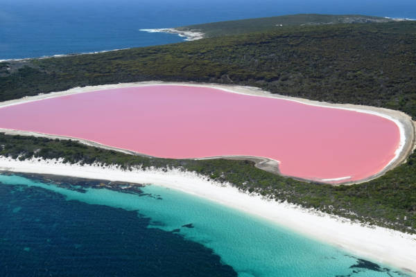 Lago Hillier, conhecido como lago rosa, localizado na Austrália Ocidental. 