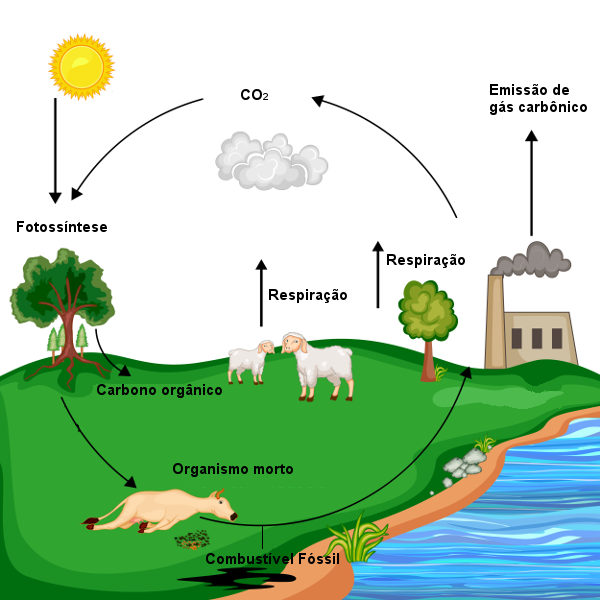 O Que é Atmosfera Gás Carbônico