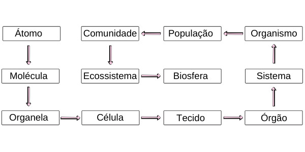 1-Observe a tabela do Internetês e escreva o texto abaixo em inglês e  português. 