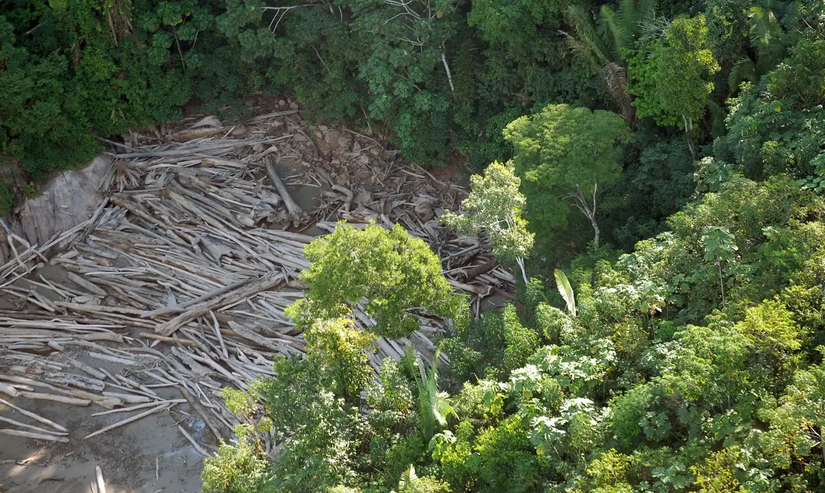 Imagem aérea de região desmatada da Amazônia.